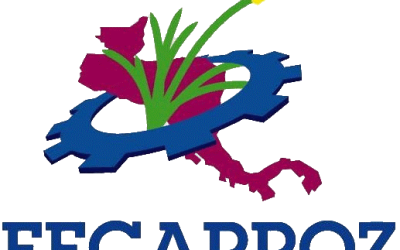 USRPA Participates in FECARROZ Board Meeting Strengthening Regional Collaboration