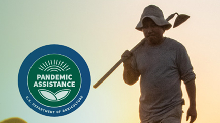 USDA announces $6 billion in natural disaster payments￼