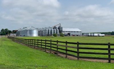 Ralston Family Farms is America’s Rice