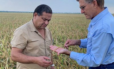 Empacadora Nor-Ver Visits Gulf Coast Rice Farmers