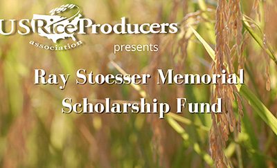 Ray Stoesser Memorial Scholarship Applications: Due TODAY!