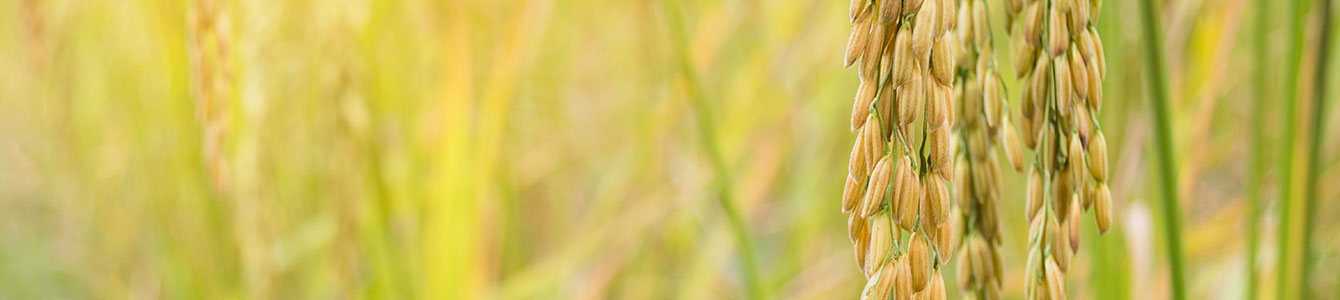 placeholder-blog-content-header-2