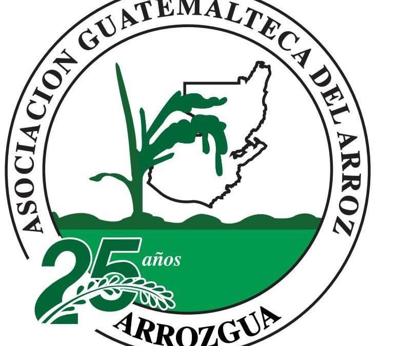 USRPA and ARROZGUA Sustain Momentum in School Lunch Program