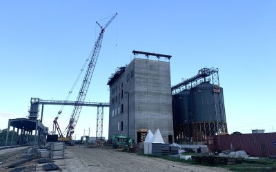 South Louisiana Rail Facility Continues to Influence Area Rice Market