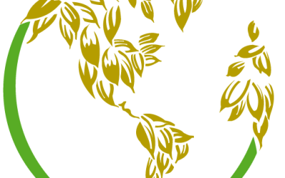 Hear It from the Industry: RMTC Reactions