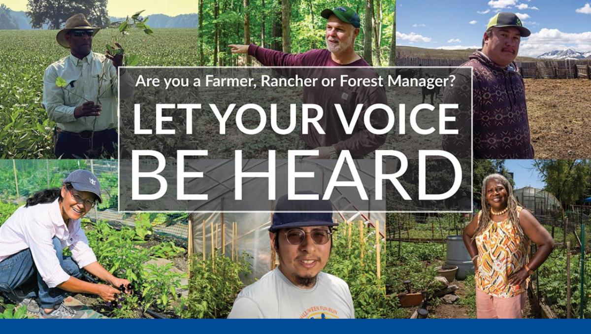 USDA-Article-for-TRA