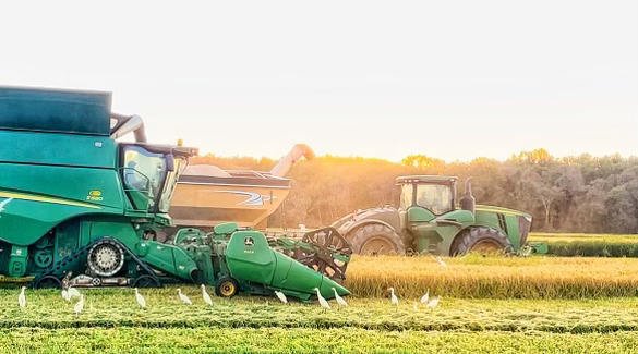 US Rice Producers Association Statement on Assistance to Agricultural Producers