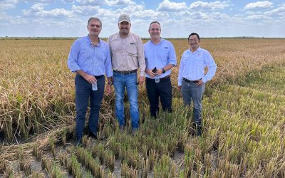 USRPA Hosts Guatemalan Rice Industry Leaders in Texas