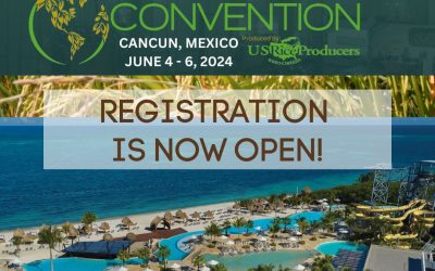 RMTC 2024: Registration is Now OPEN
