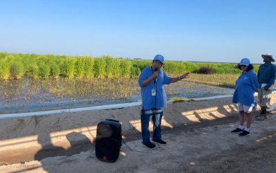 USRPA Participates in Stuttgart Rice Field Day