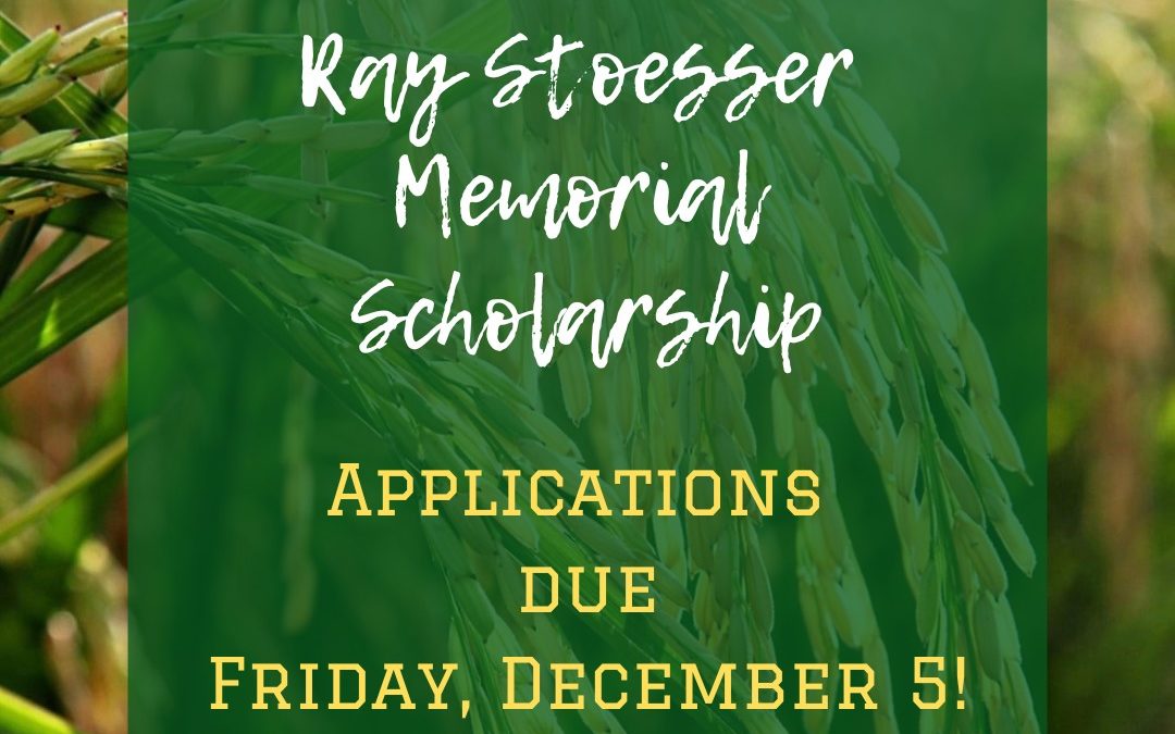 The 2026 Scholarship Application is now available!